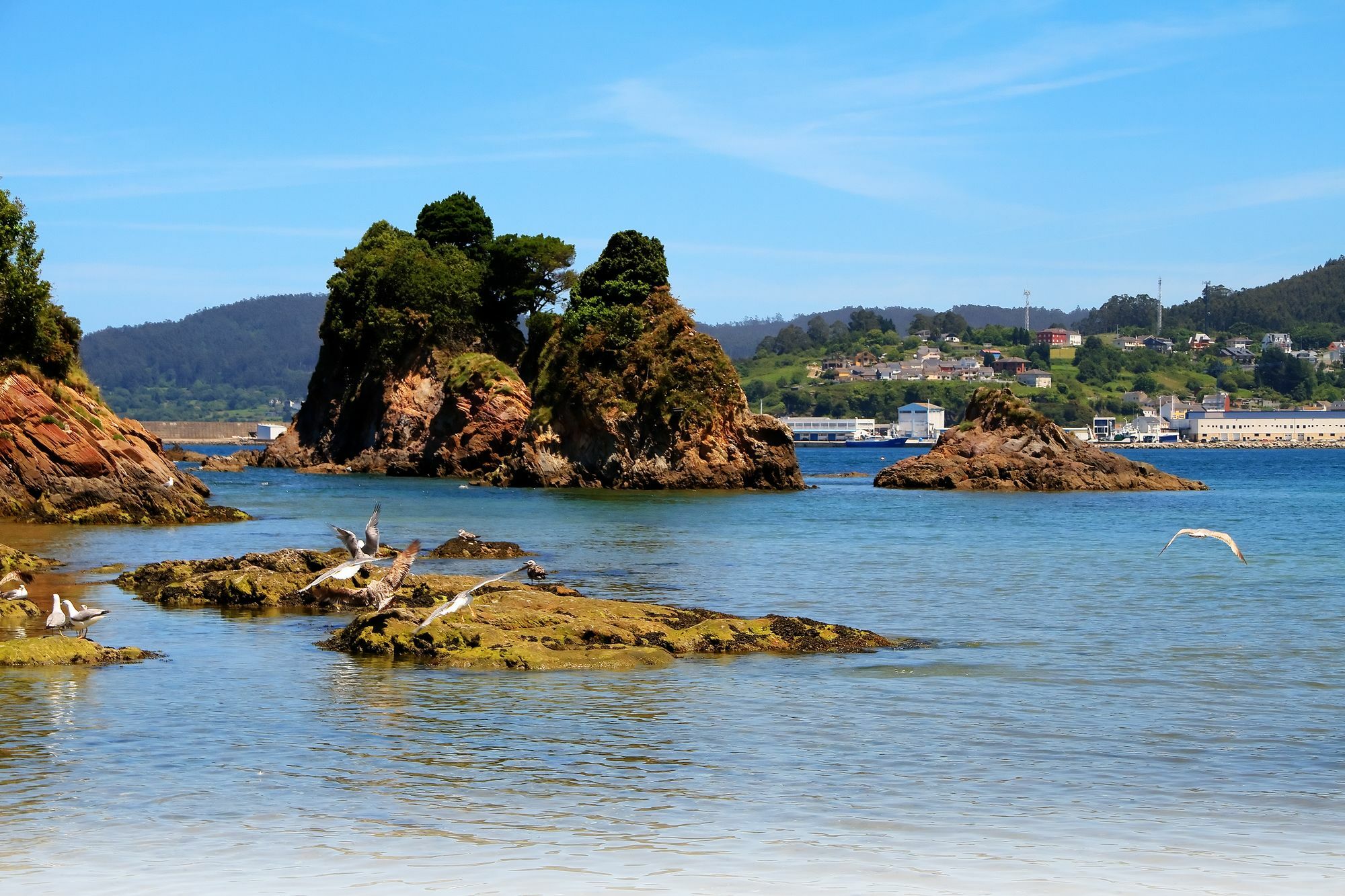 Duerming Sea View Viveiro Daire Dış mekan fotoğraf